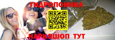 гидропоника Малгобек