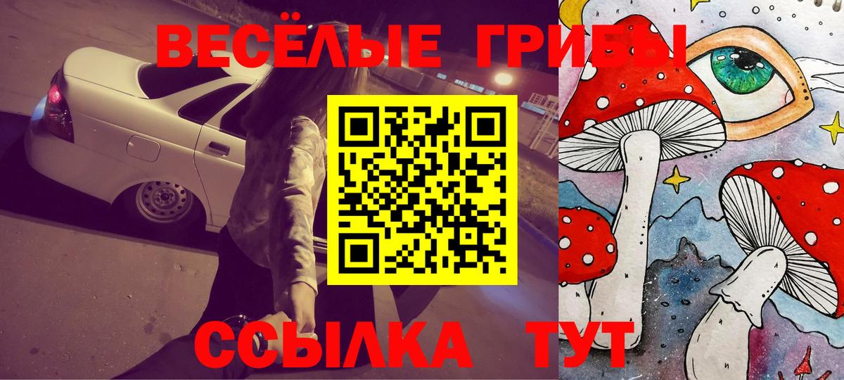 Галлюциногенные грибы мухоморы  Псилоцибиновые грибы Magic Shrooms  Шатура  Вход с VPN 