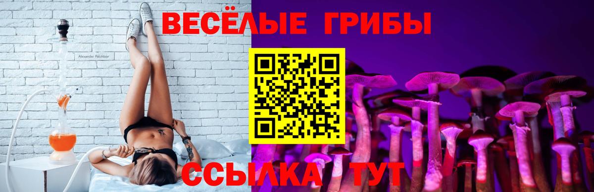 Галлюциногенные грибы GOLDEN TEACHER Шатура